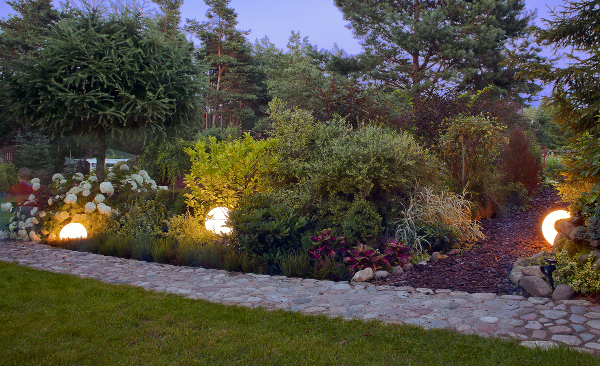Domowy ogród solarny - Warunki świetlne i temperaturowe niezbędne do prawidłowego funkcjonowania ogrodu