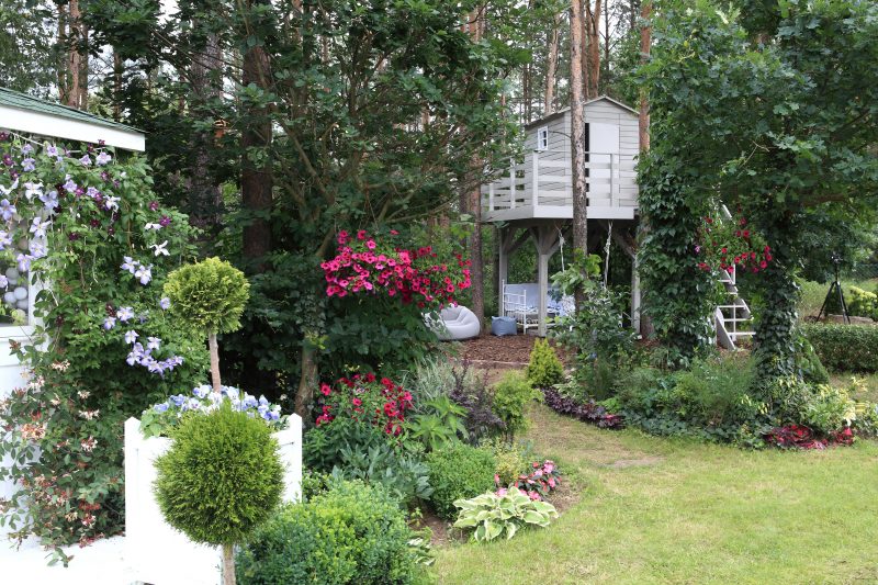 W co warto zainwestować w ogrodzie? – NOWY FILM